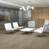 Queen Commercial Carpet Tile
Amaze